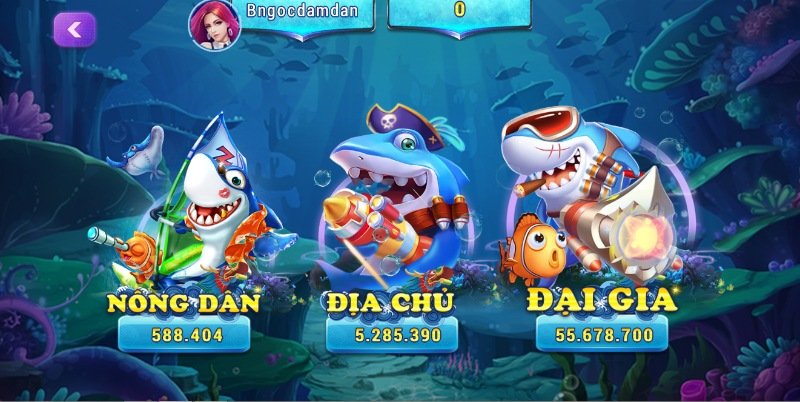 Các game bài đổi thưởng được trang bị tại Bocvip