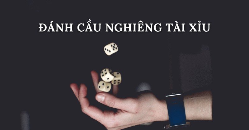 Khi chơi cầu nghiêng tài xỉu, bạn nên xem kỹ tỷ lệ cược